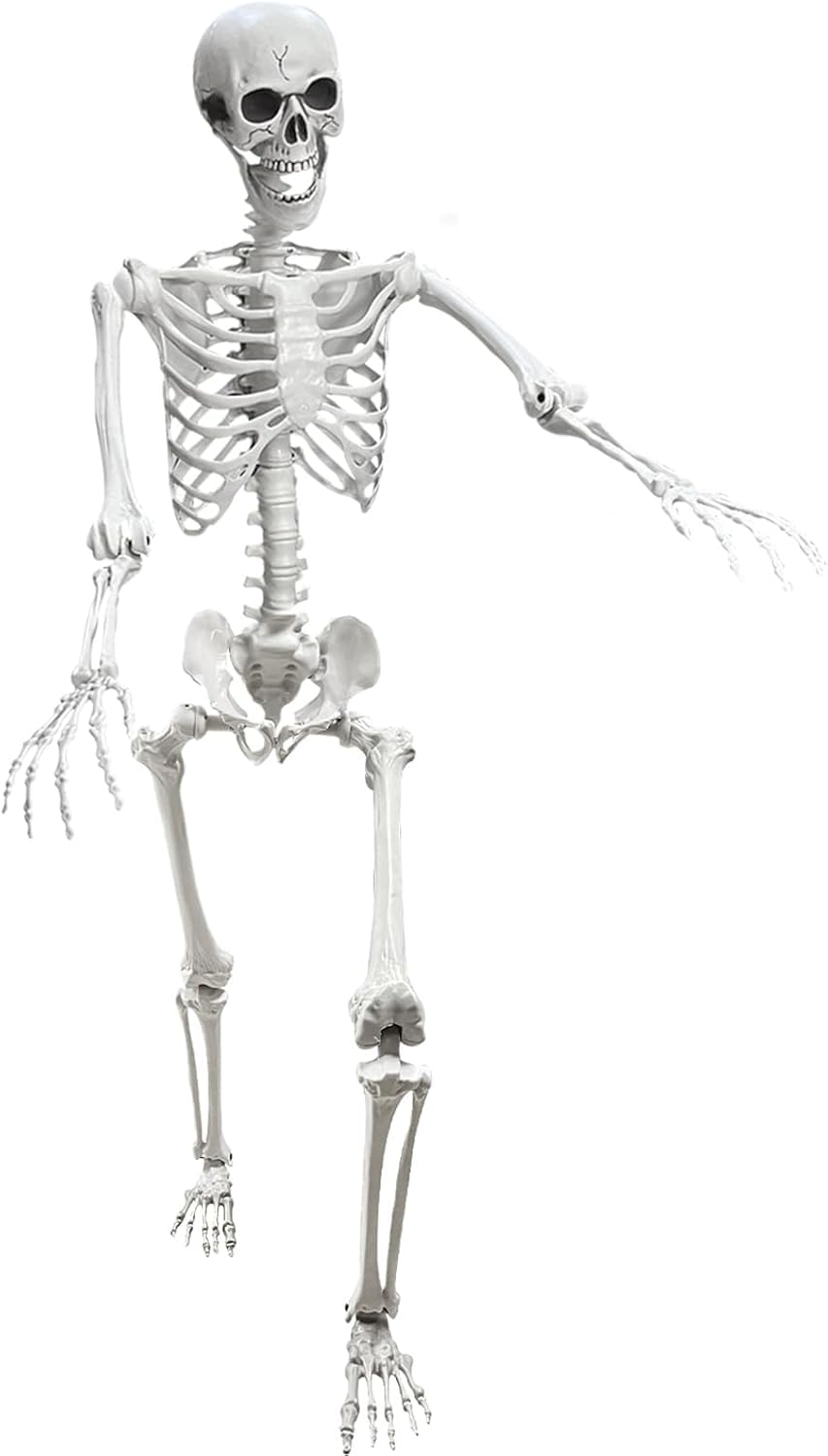 5.4Ft Posable Life Size Human Skeleton R105081