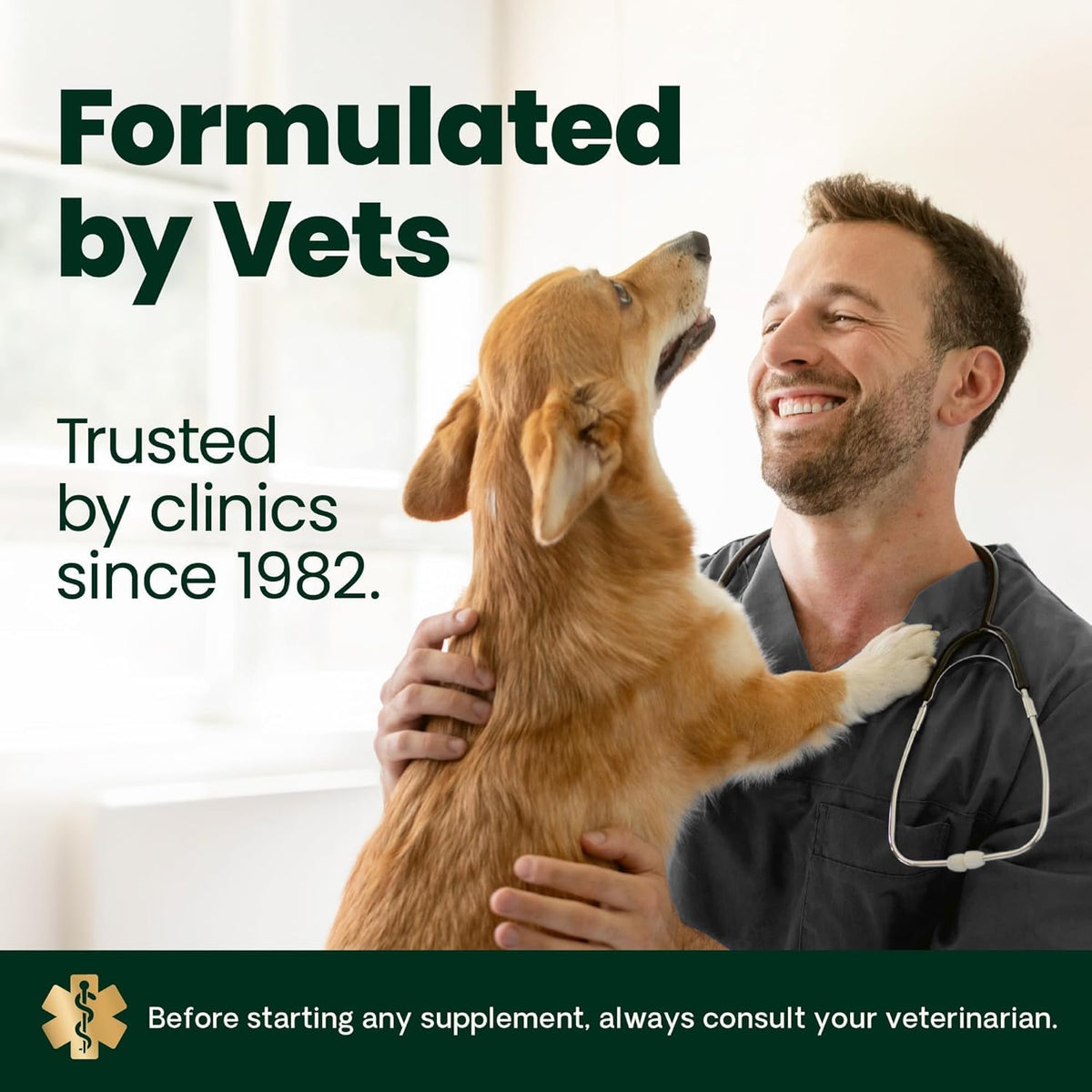 Healthy Muscle & Strength Powder for Dogs H941566
