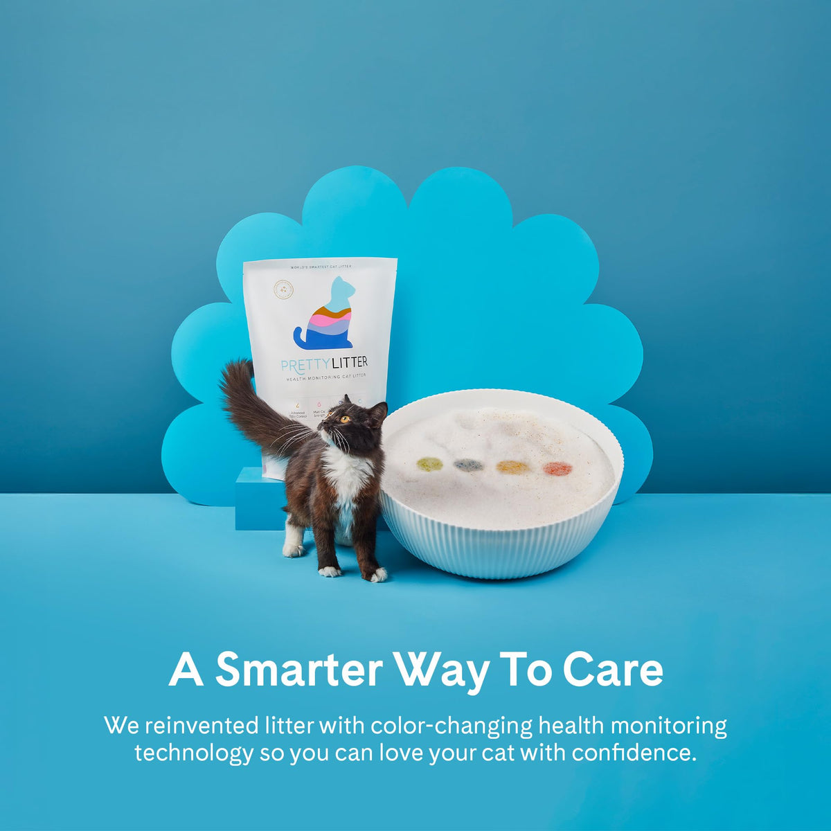 Unscented 6 lb. 2-Pack Cat Litter D346301