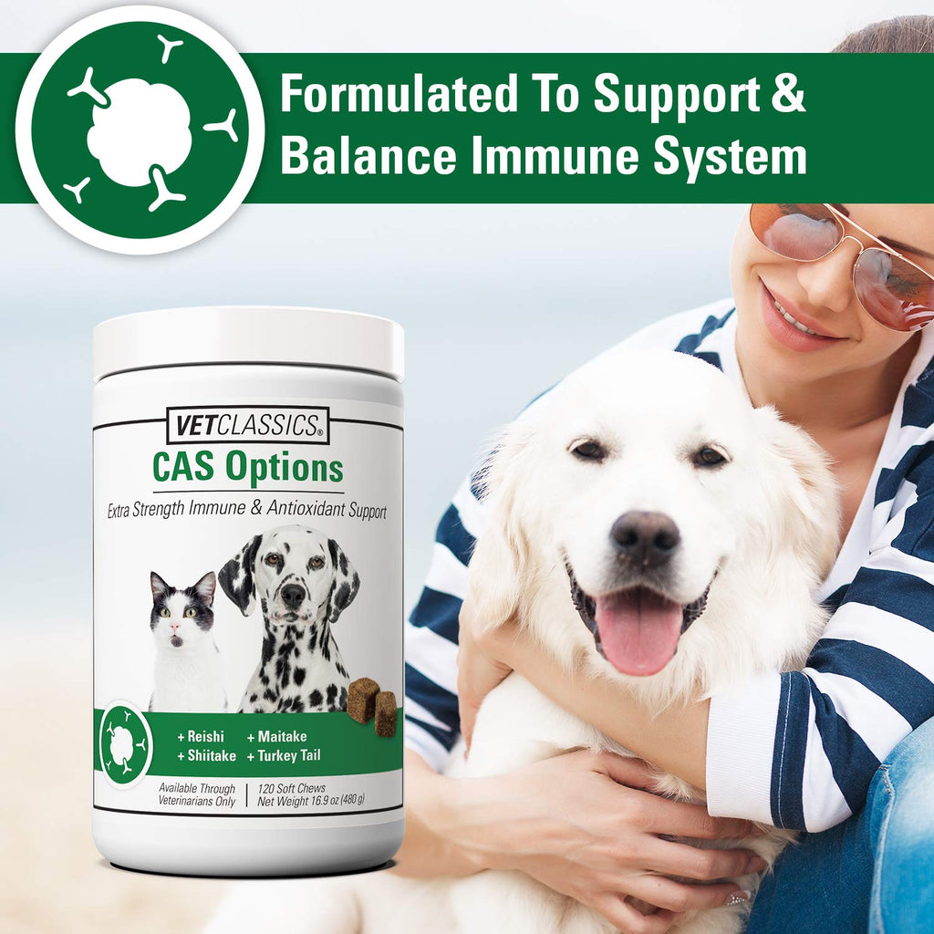 Immune Support Supplement for Dogs 120 Soft Chews O12448
