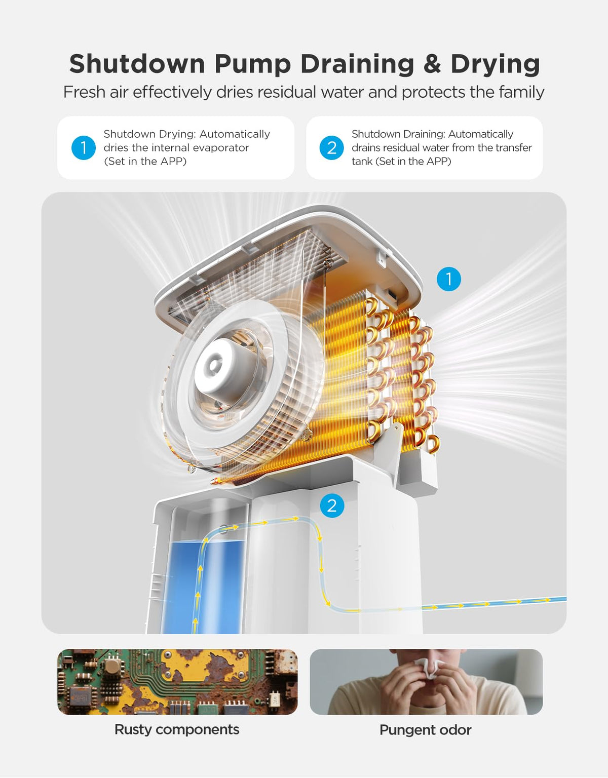 Dehumidifier with Mini Air Purifier D7118
