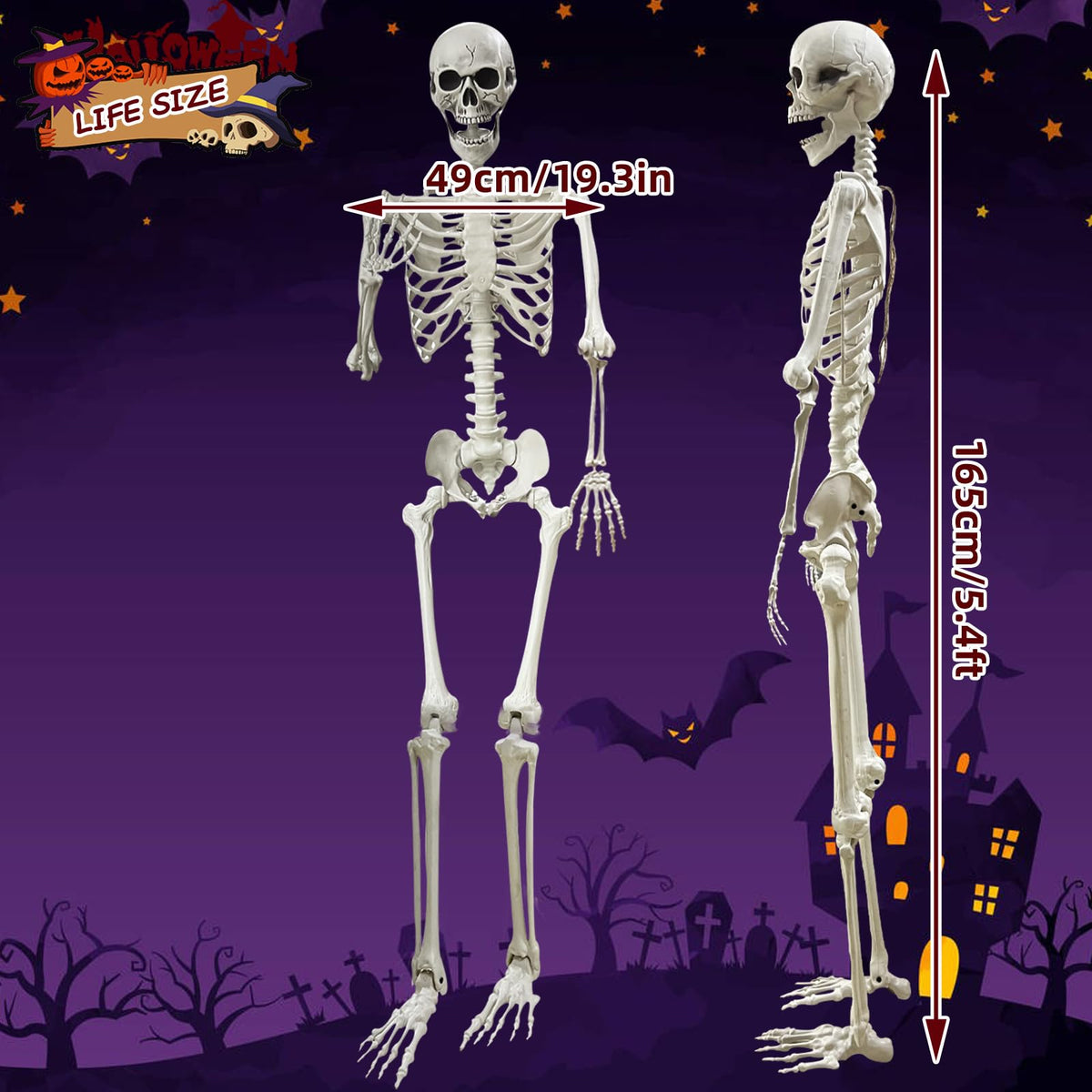 5.4Ft Posable Life Size Human Skeleton R105081