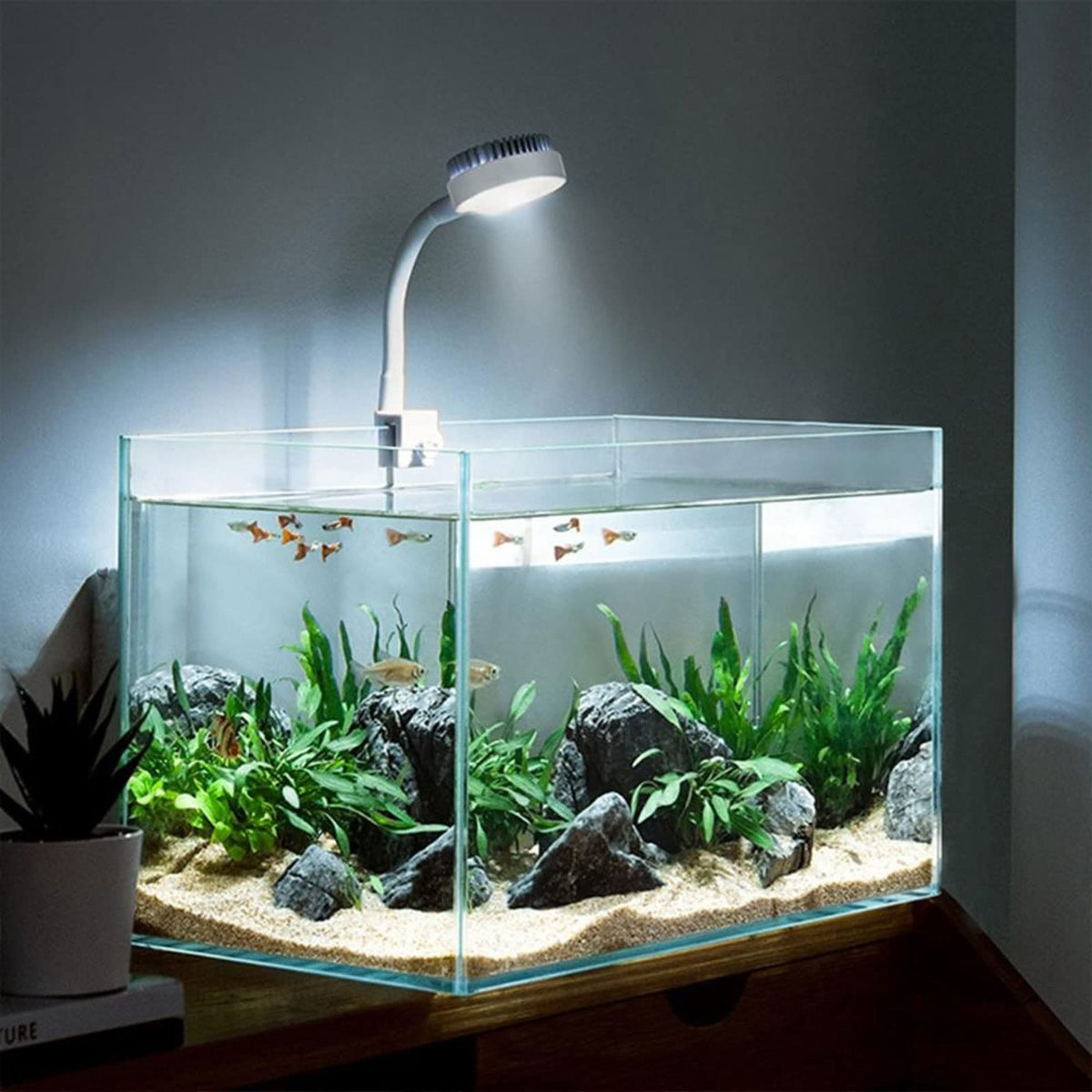 White USB Charging Clip-Type Mini Aquarium Light P390293