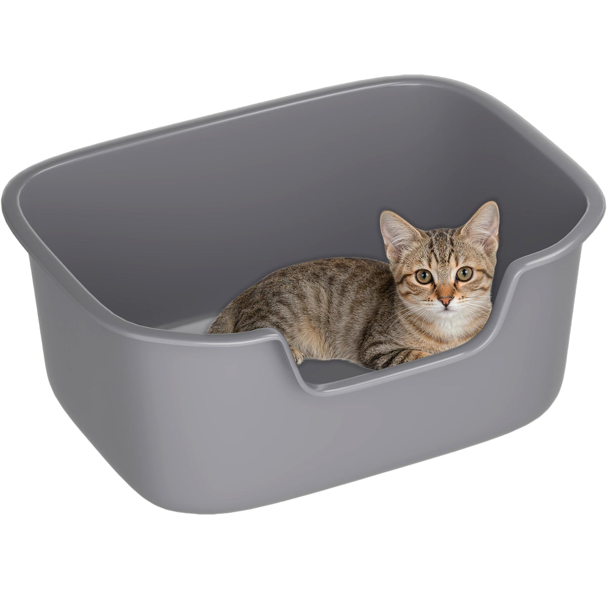 Large High Sides Cat Litter Box R30507