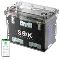 12V 100Ah LiFePO4 Marine Battery BCI Group 24 G209426