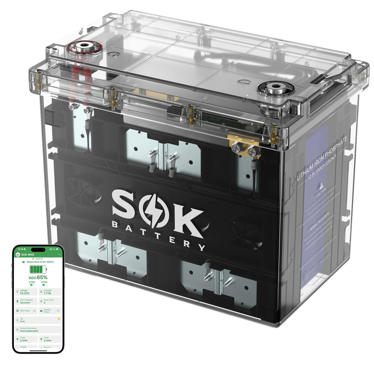 12V 100Ah LiFePO4 Marine Battery BCI Group 24 G209426