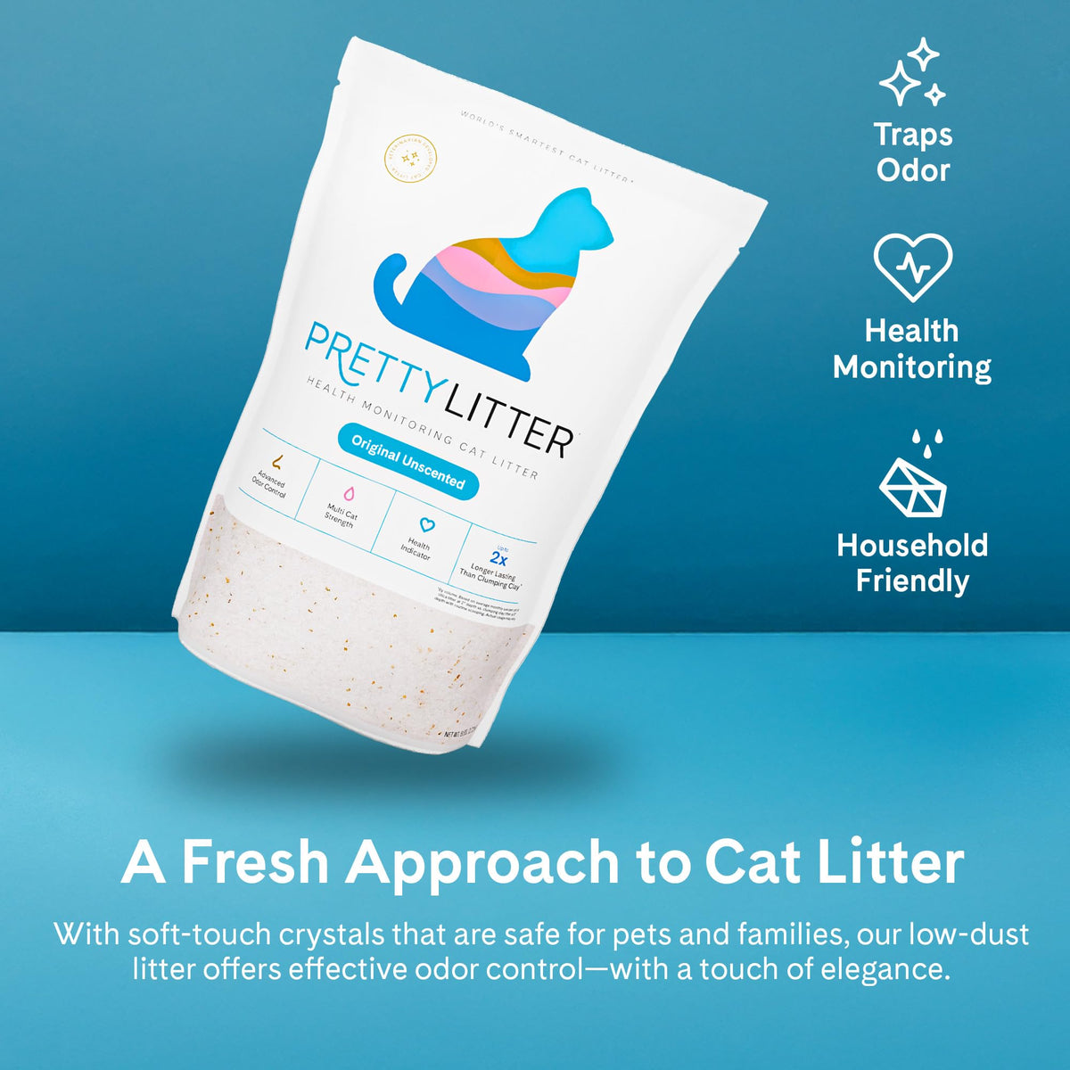 Unscented 6 lb. 2-Pack Cat Litter D346301