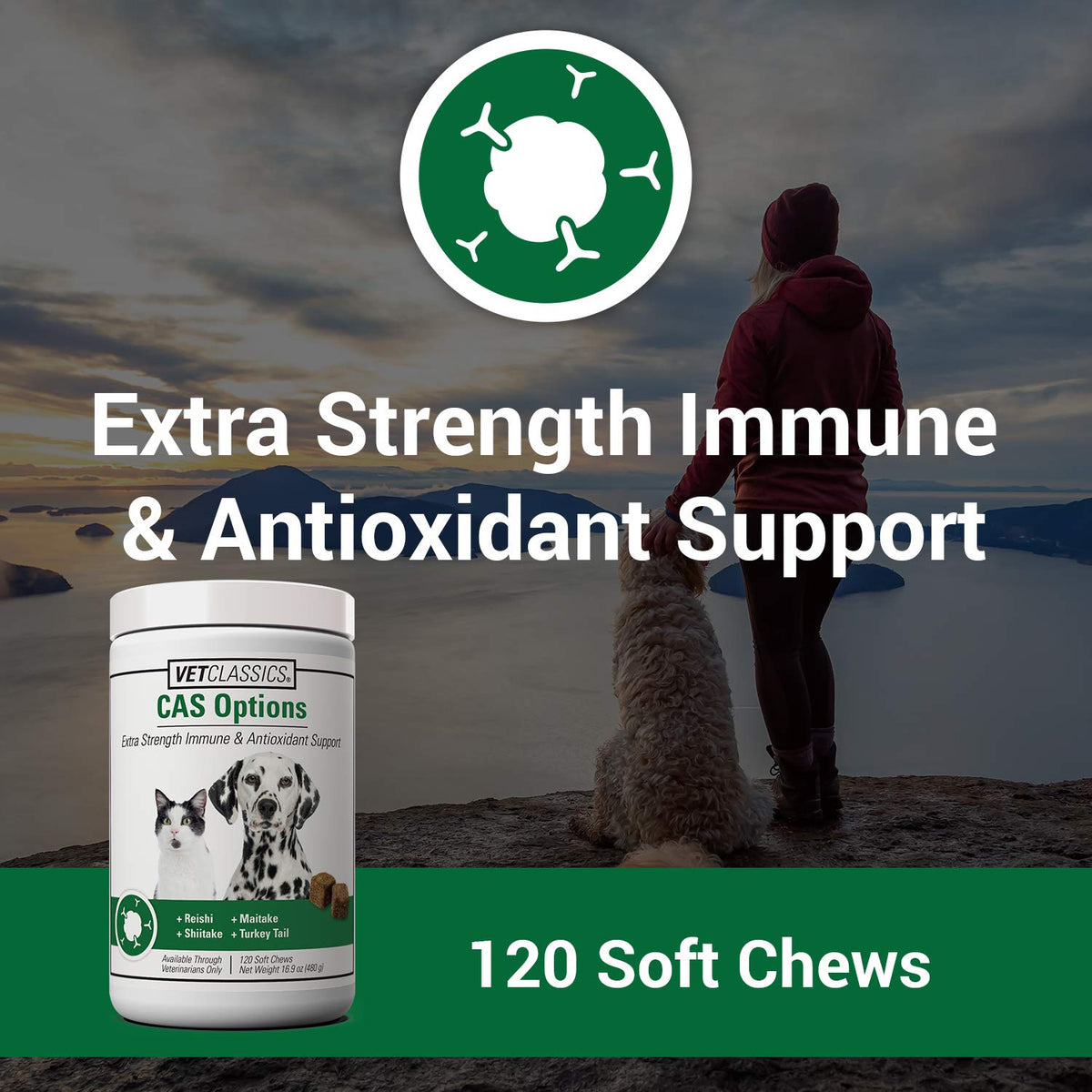 Immune Support Supplement for Dogs 120 Soft Chews O12448