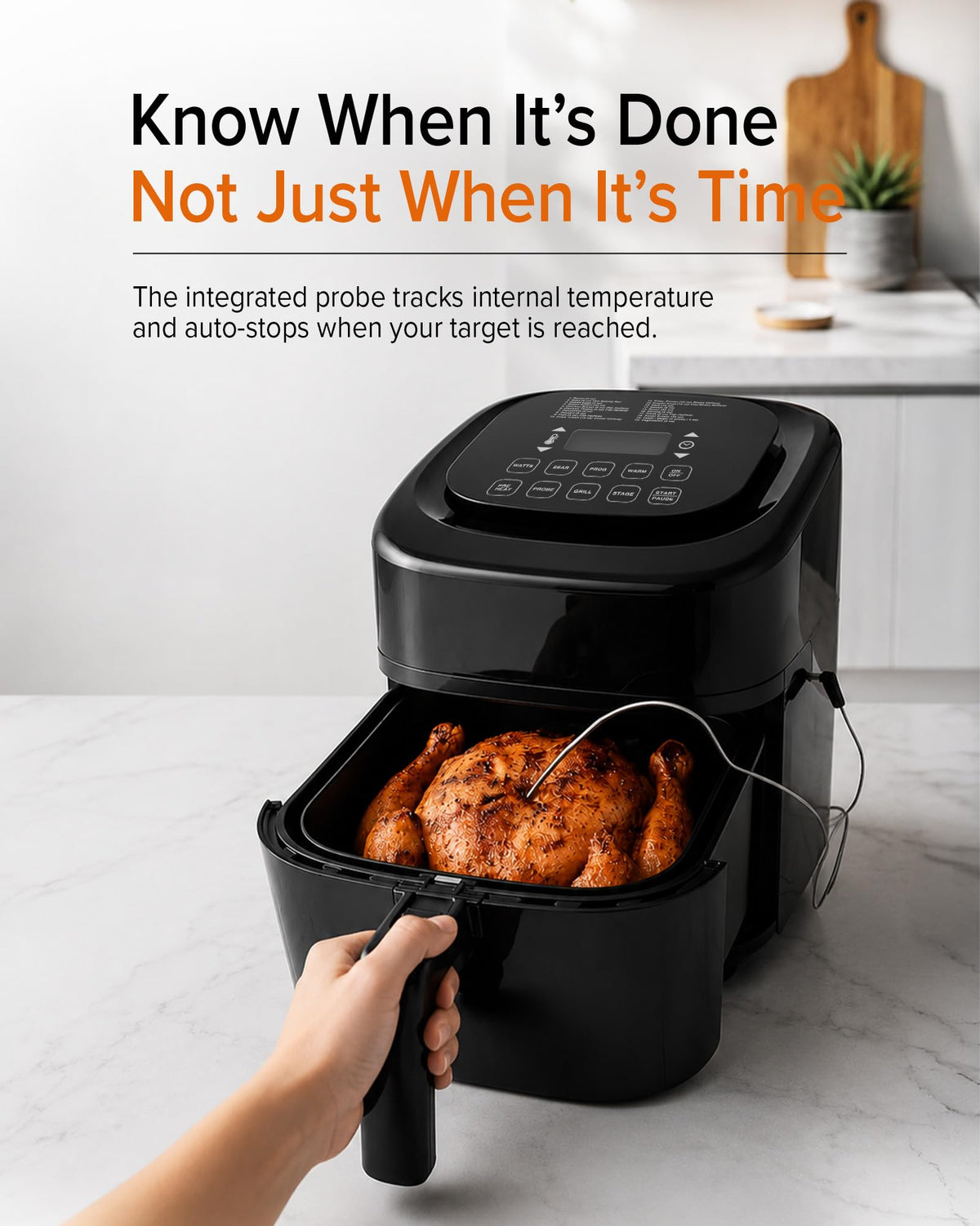 10-in-1 Air Fryer with Smart Probe D891