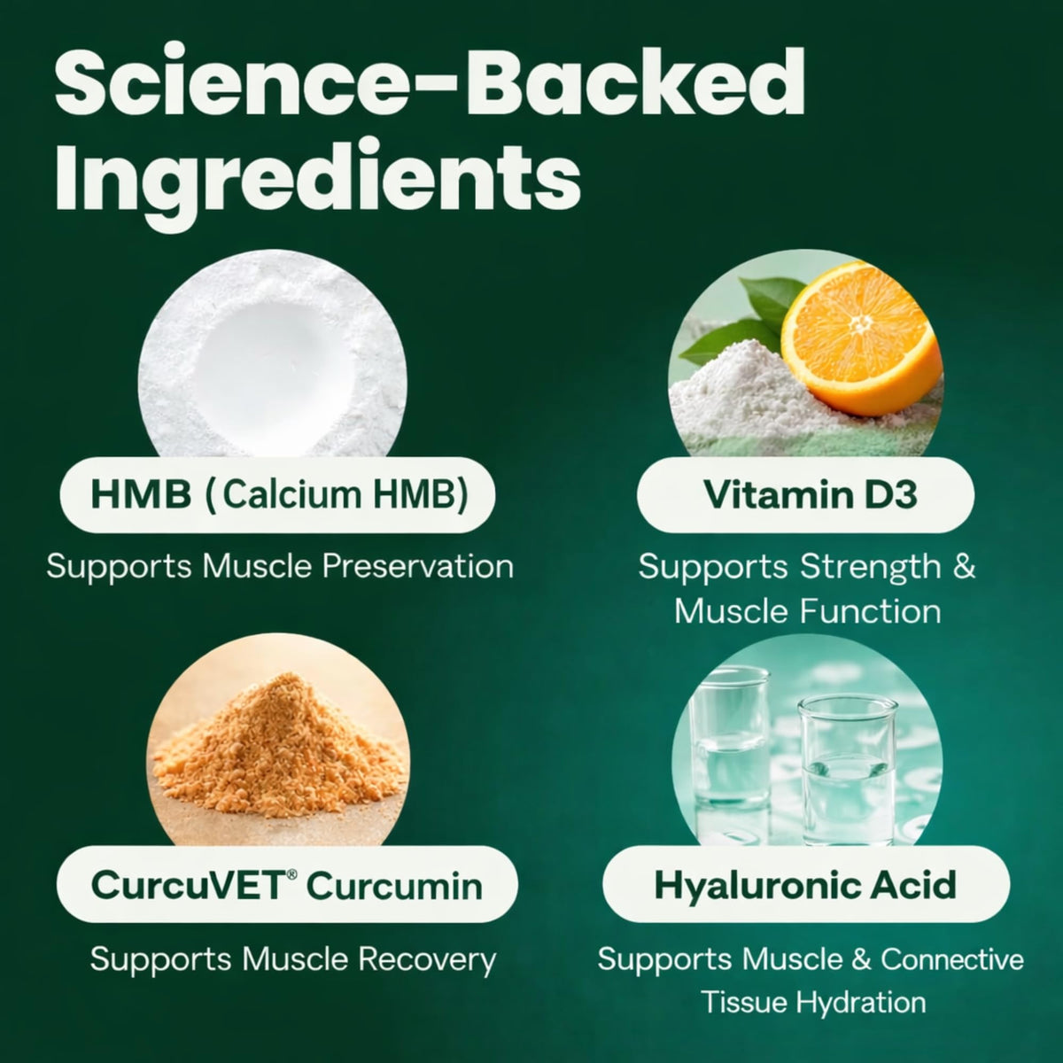 Healthy Muscle & Strength Powder for Dogs H941566