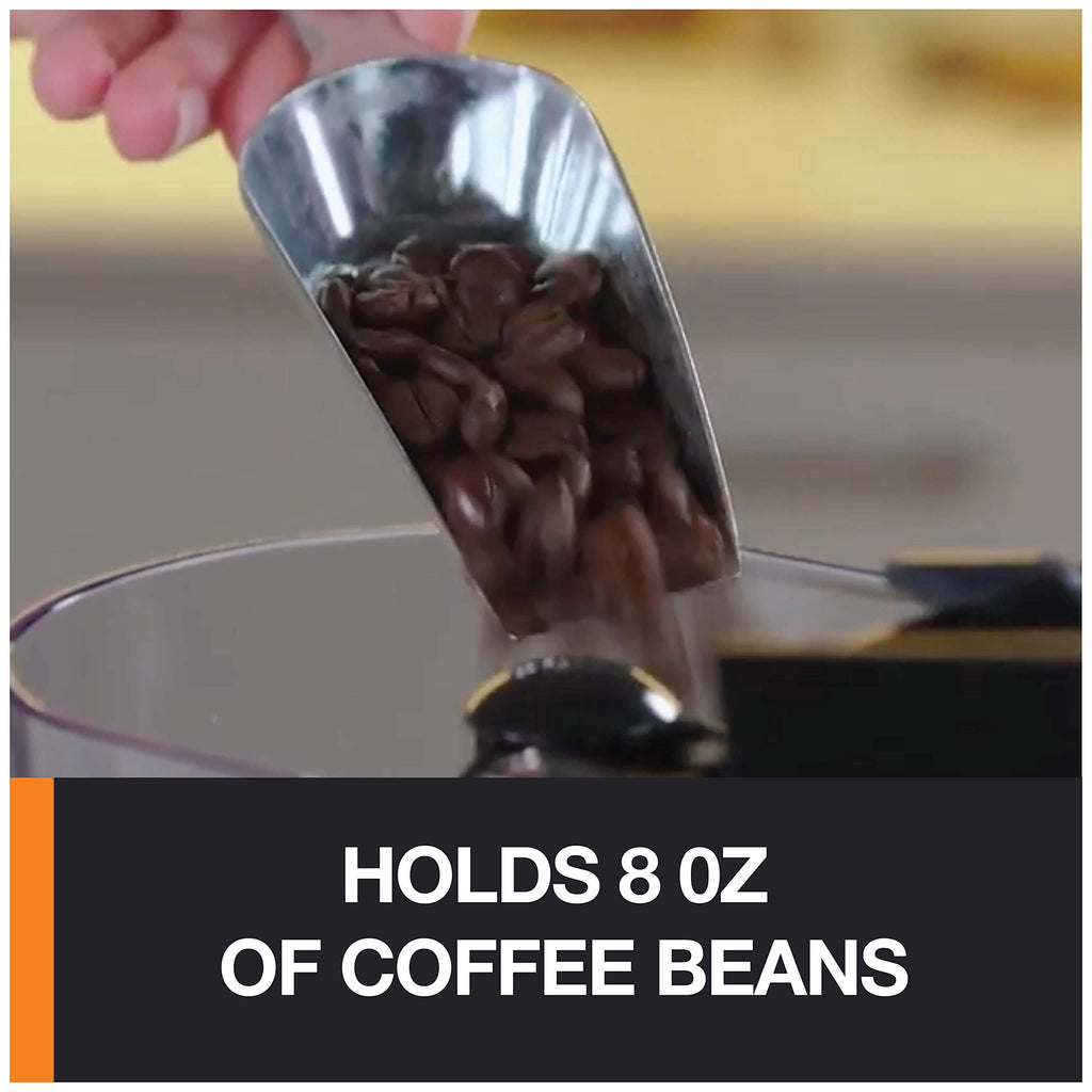 Burr Coffee Grinder 12 Settings 8 oz Stainless Steel Y211