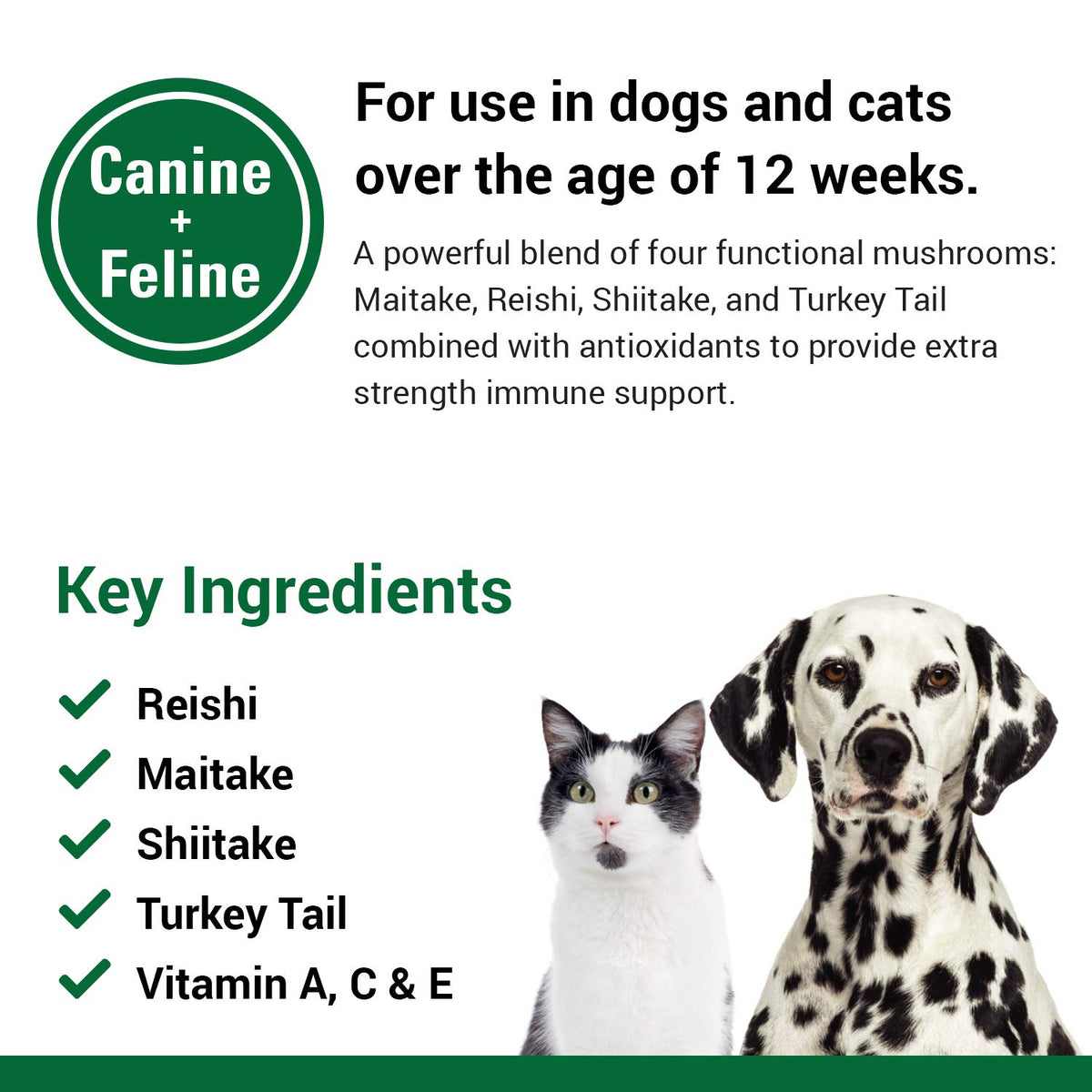 Immune Support Supplement for Dogs 120 Soft Chews O12448