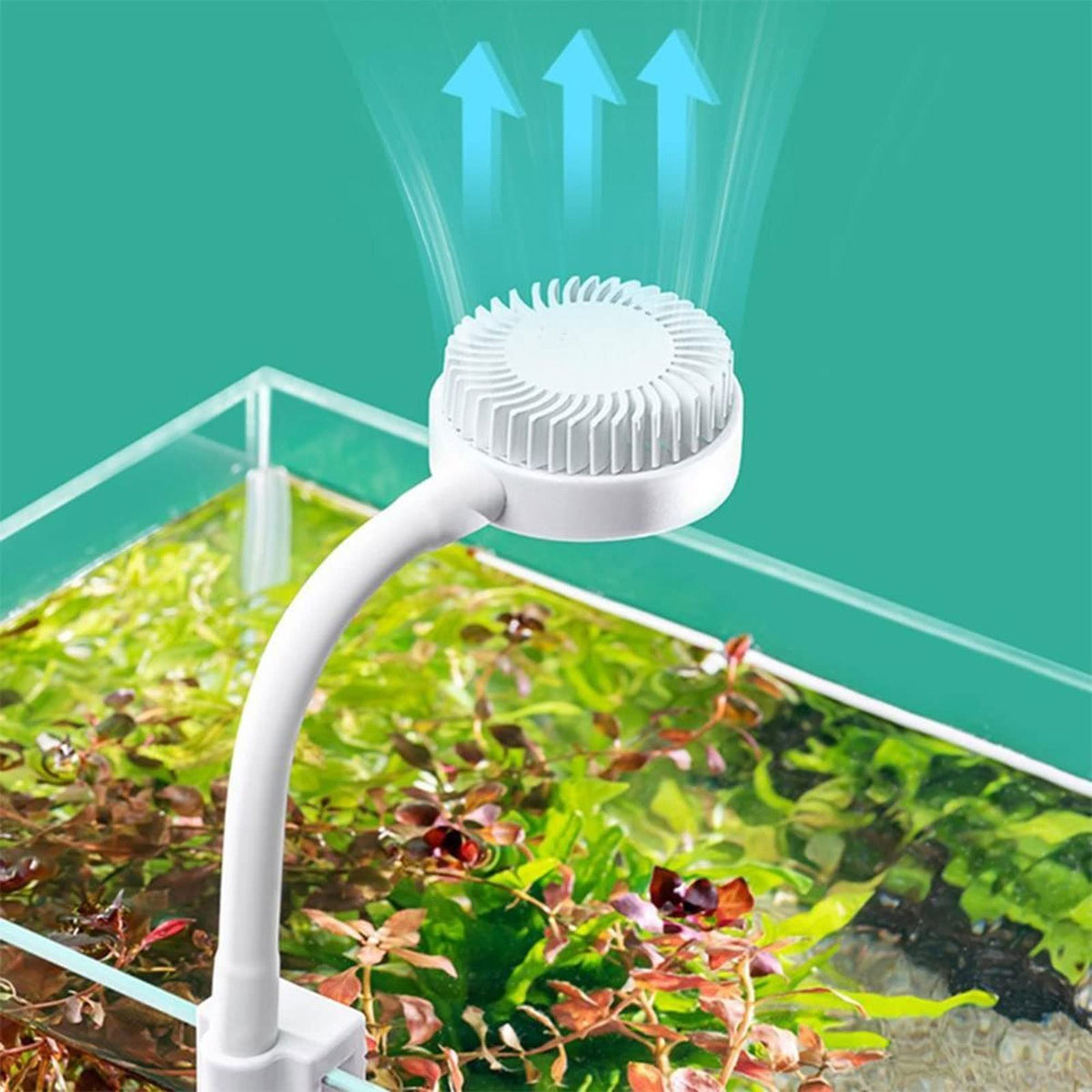 White USB Charging Clip-Type Mini Aquarium Light P390293