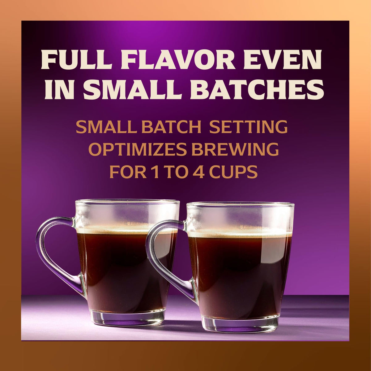12 Cup Coffee Maker with Decaf and Iced Coffee Settings H692084