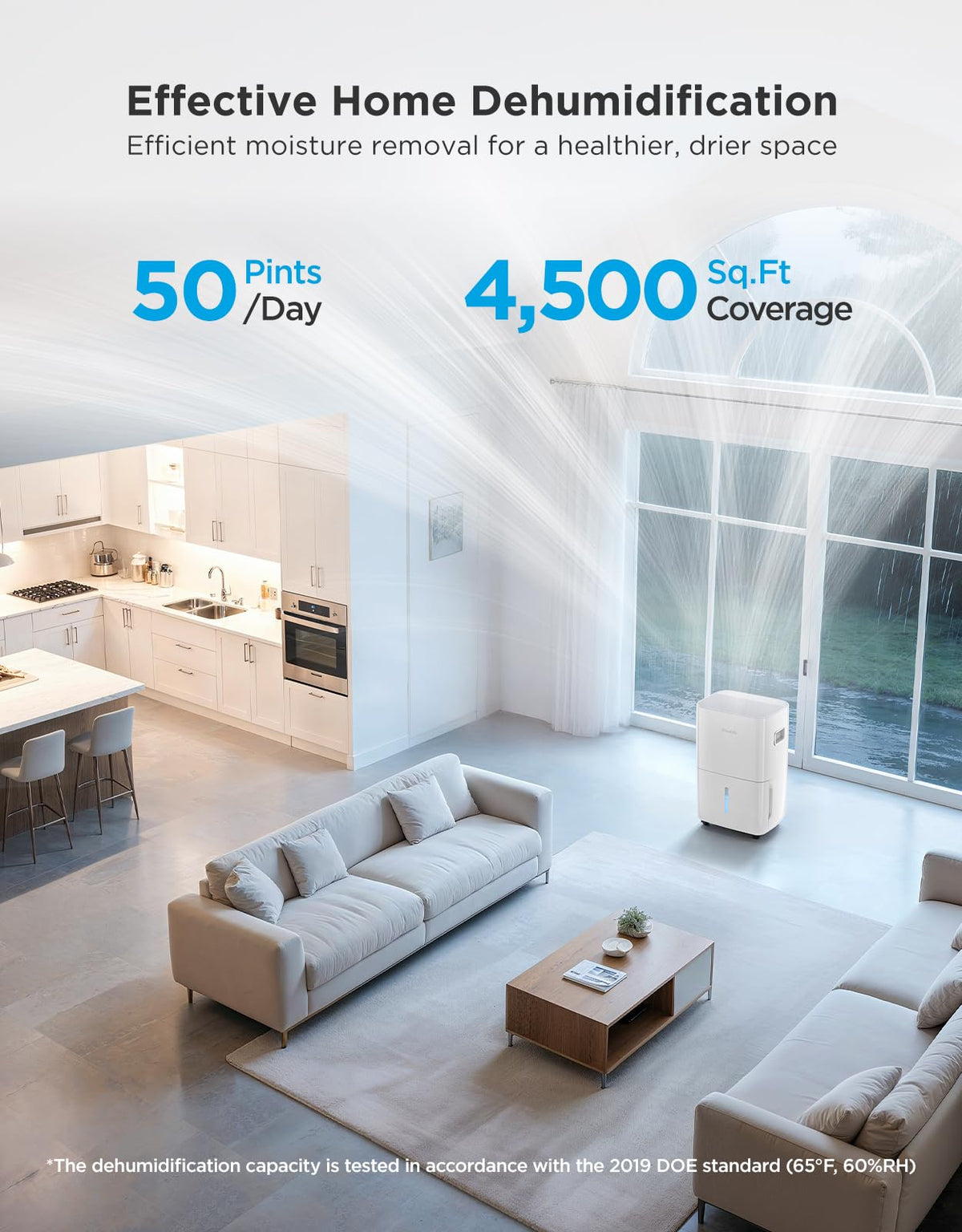 Dehumidifier with Mini Air Purifier D7118