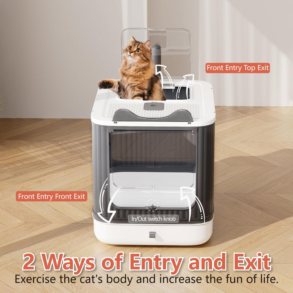Covered Cat Litter Box with Lid B7612