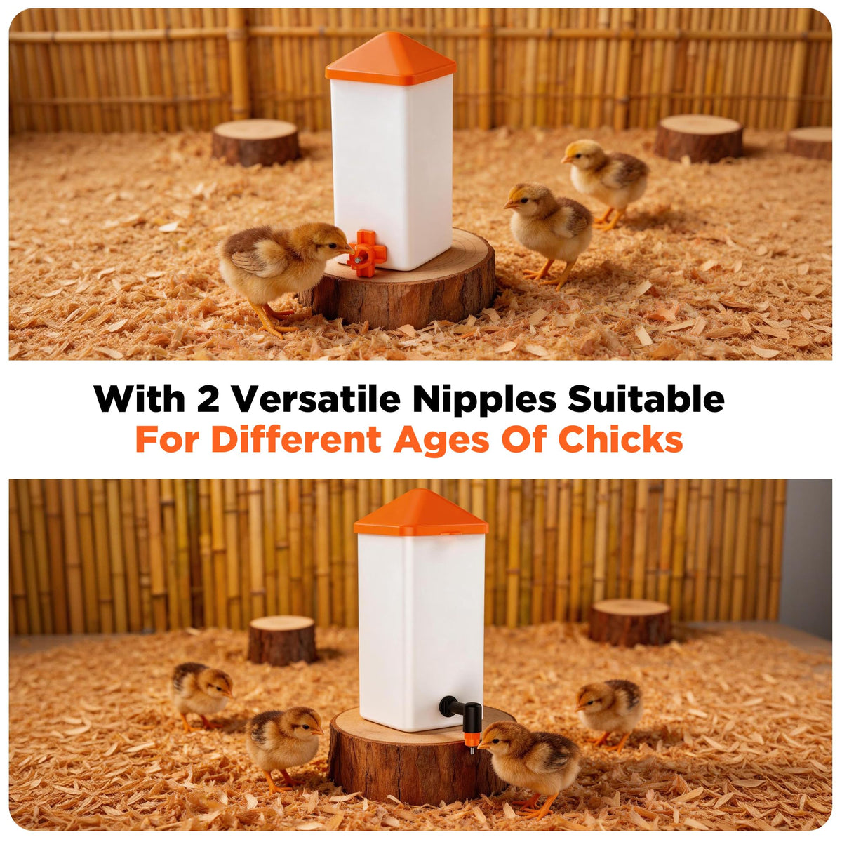 1L Baby Chick Waterer with Nipple Drinker and Anti-Roost Cone A635798