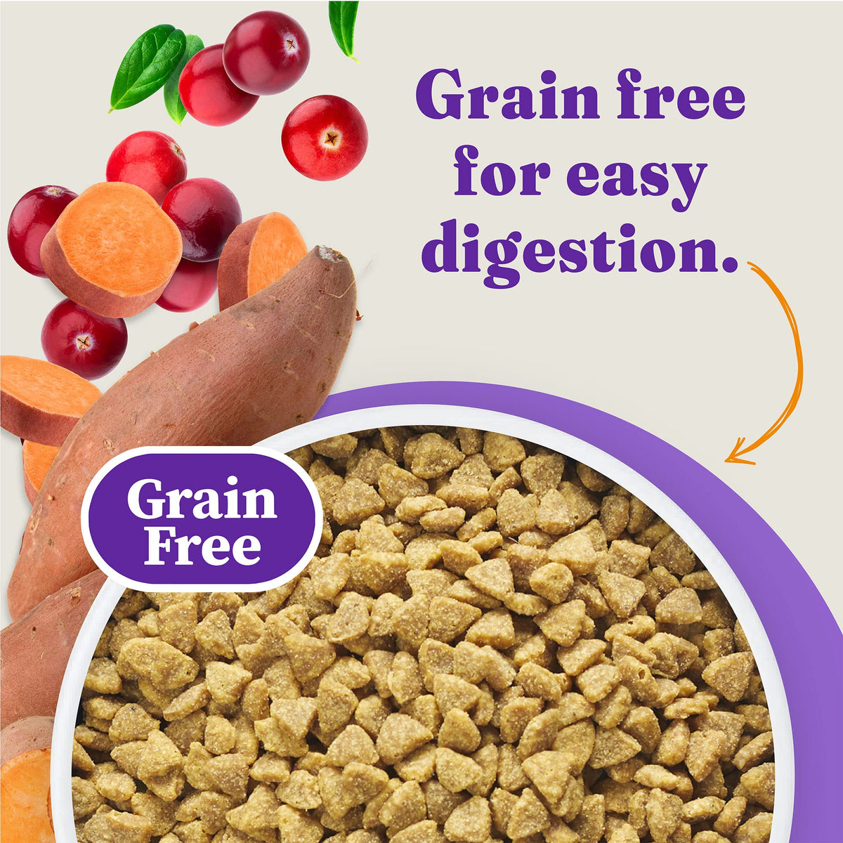Indoor Dry Cat Food Cage-Free Chicken 6 lb S10305