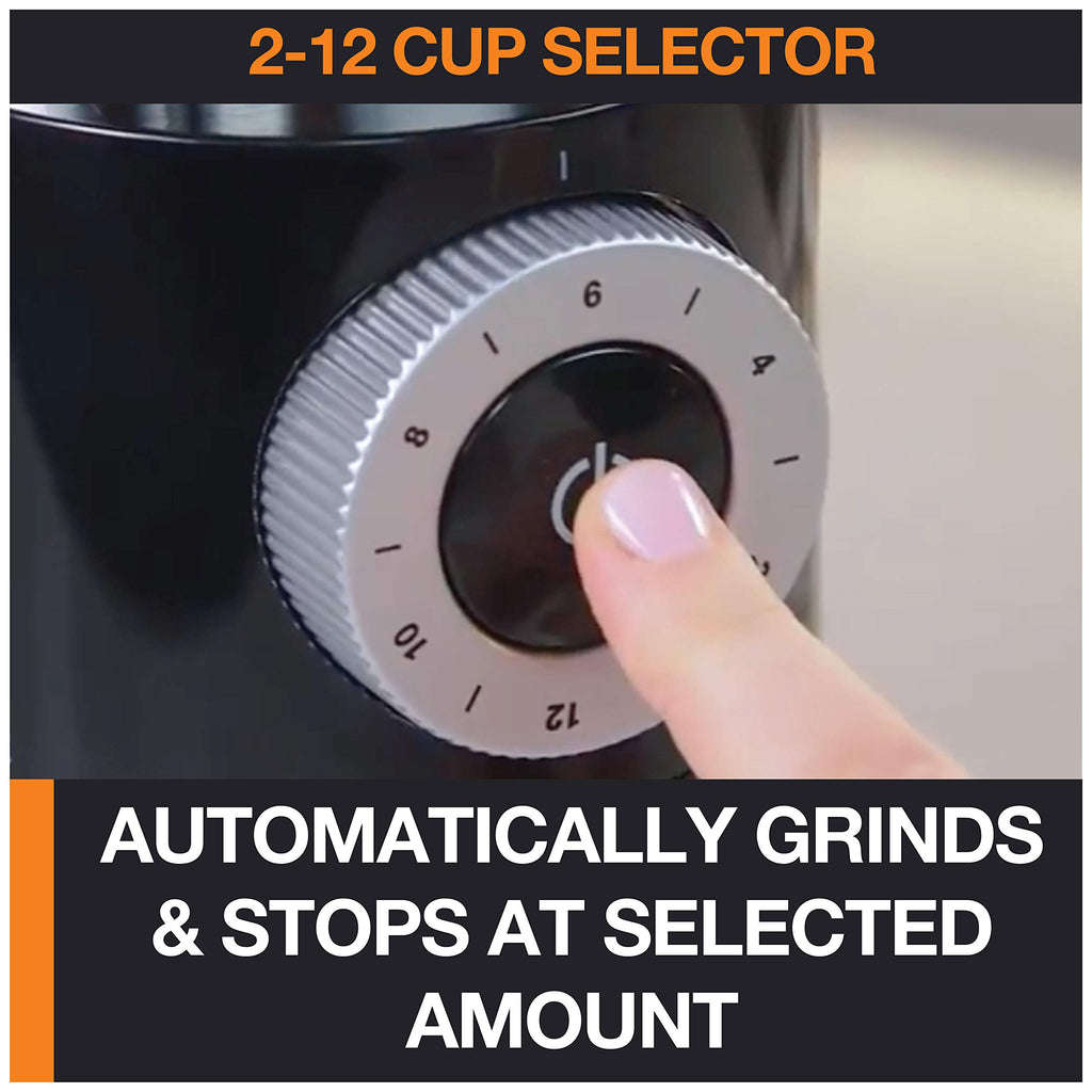 Burr Coffee Grinder 12 Settings 8 oz Stainless Steel Y211