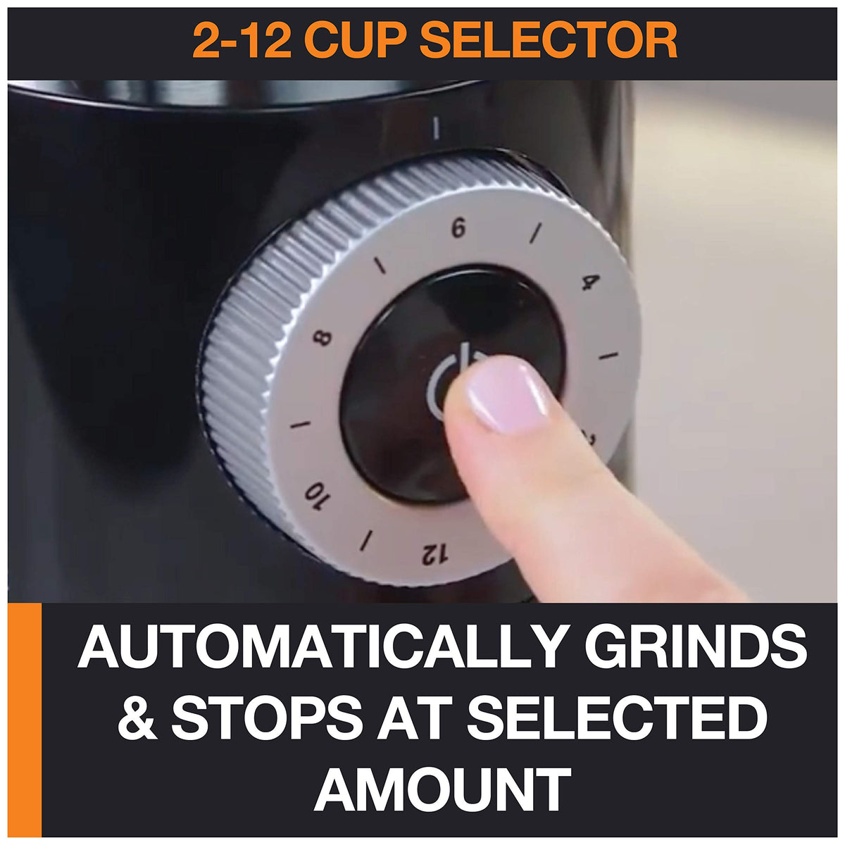 Burr Coffee Grinder 12 Settings 8 oz Stainless Steel Y211