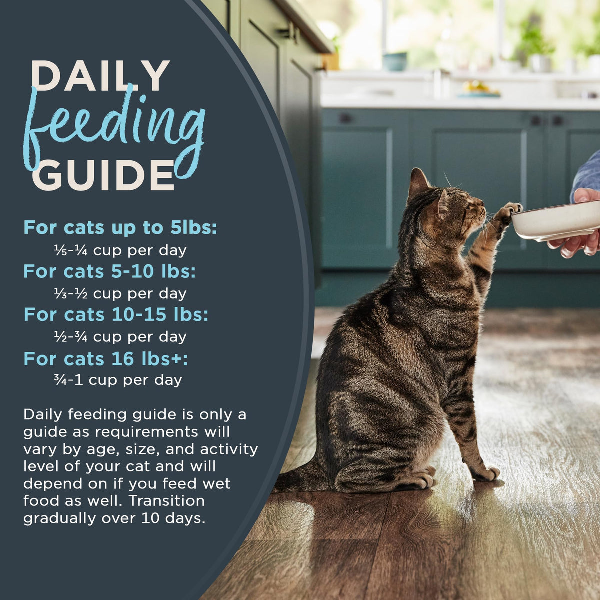 Grain Free Dry Cat Food 3 lb Bag I57158