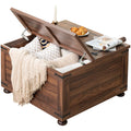 Brown Walnut Coffee Table with Hidden Storage U979031