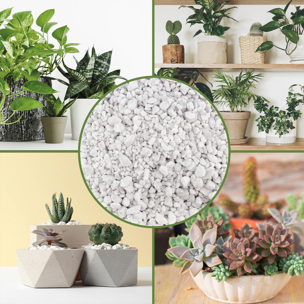 Coarse Perlite for Plants 30 Quarts R365