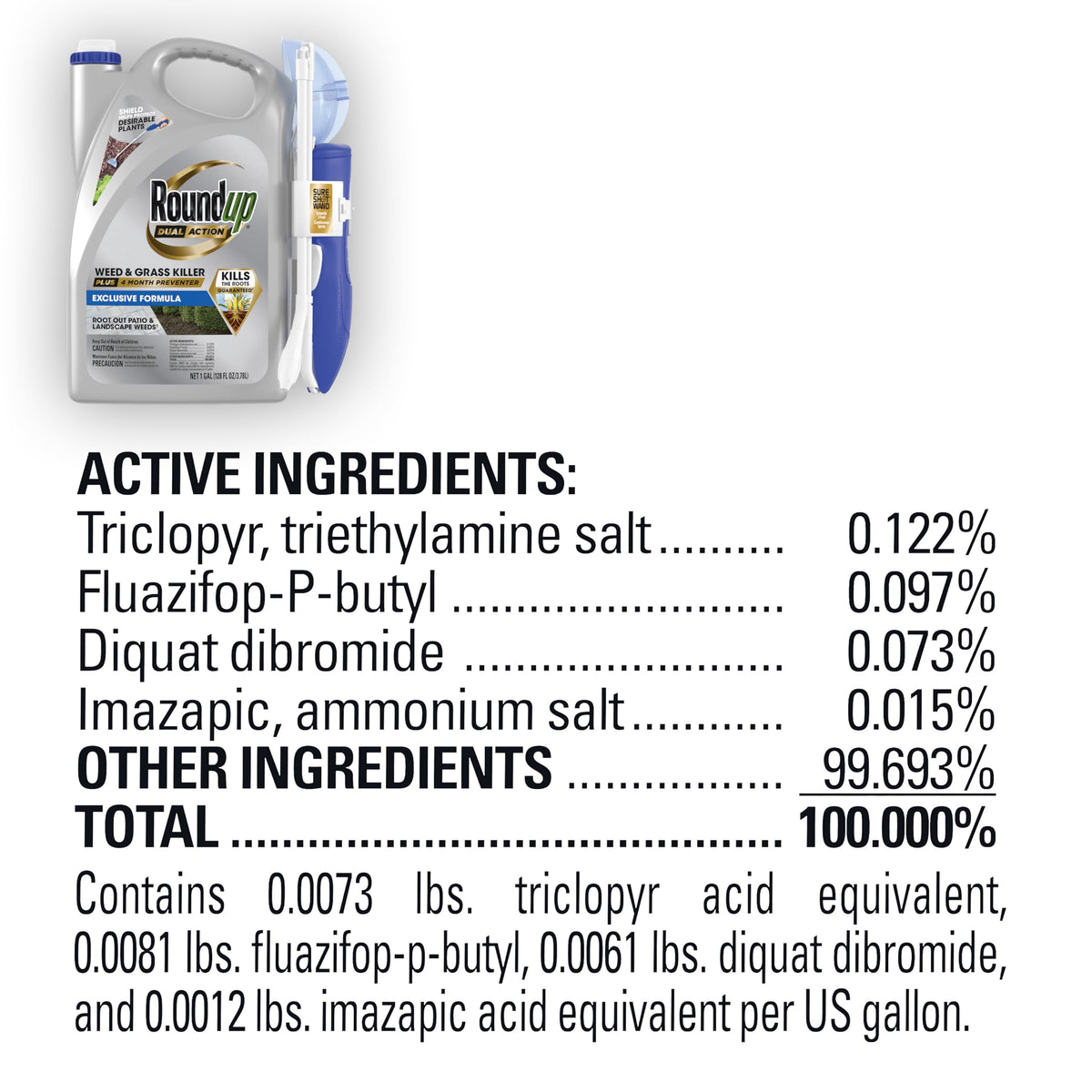 Dual Action Weed & Grass Killer with Wand, 1 gal. P2854