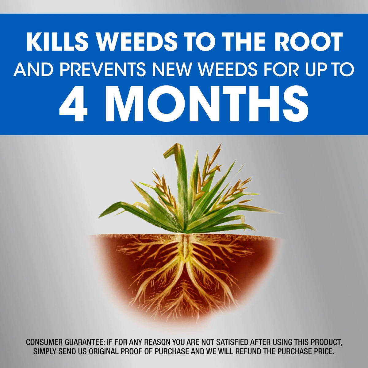 Dual Action Weed & Grass Killer with Wand, 1 gal. P2854