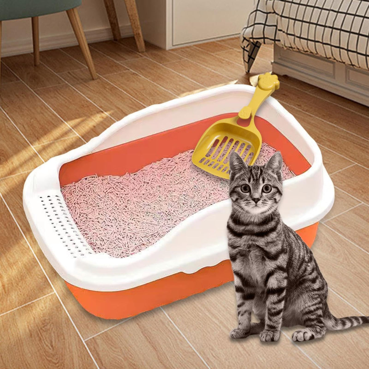 Orange Cat Litter Box with Sifting Spoon Z29160