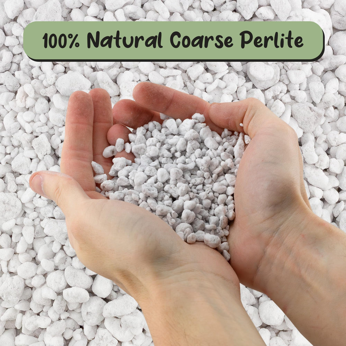 Coarse Perlite for Plants 30 Quarts R365