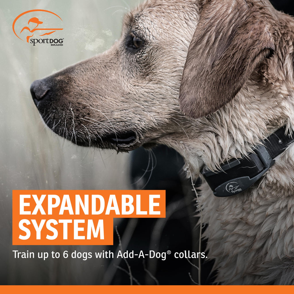 Remote Dog Trainer 1-Mile Range N80124