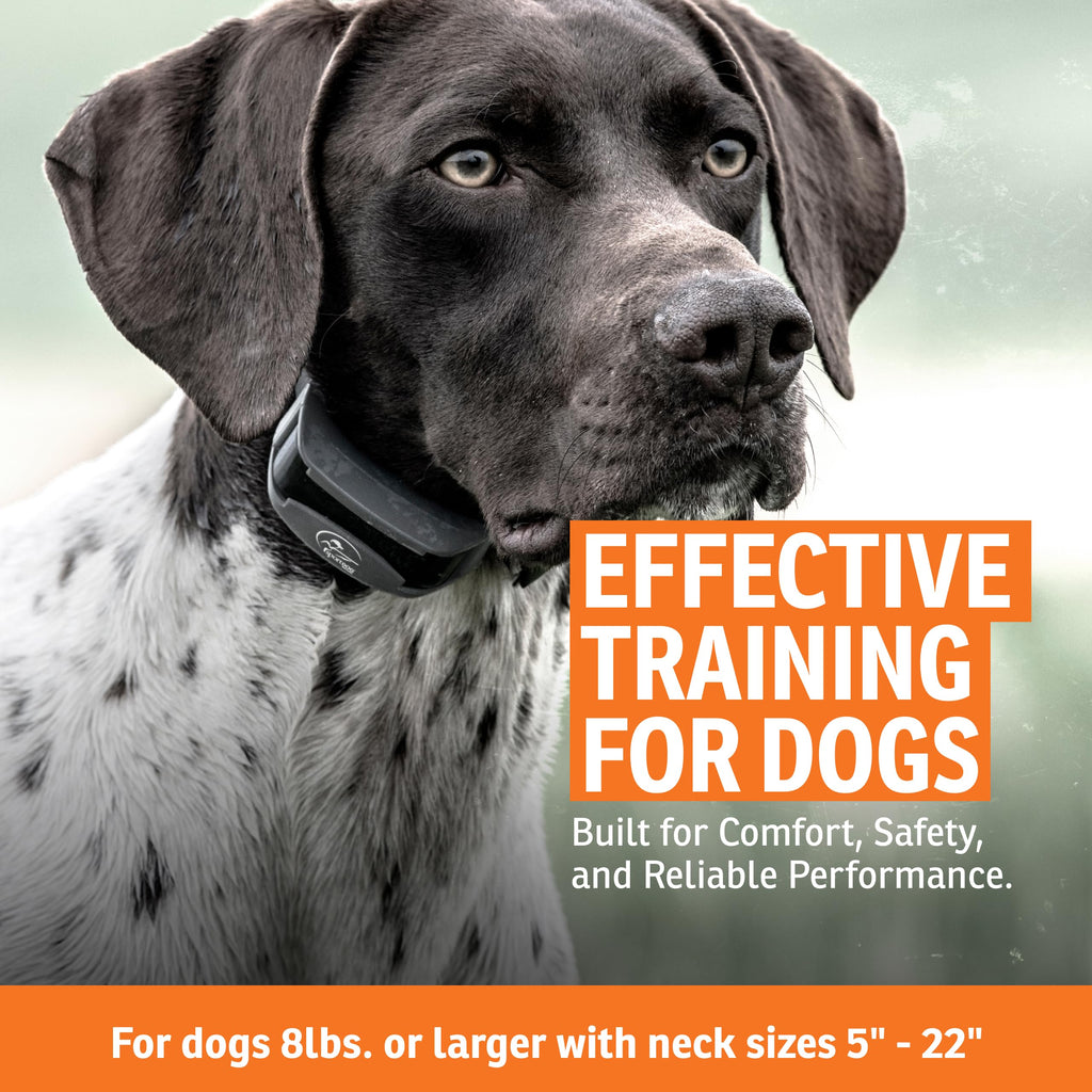 Remote Dog Trainer 1-Mile Range N80124
