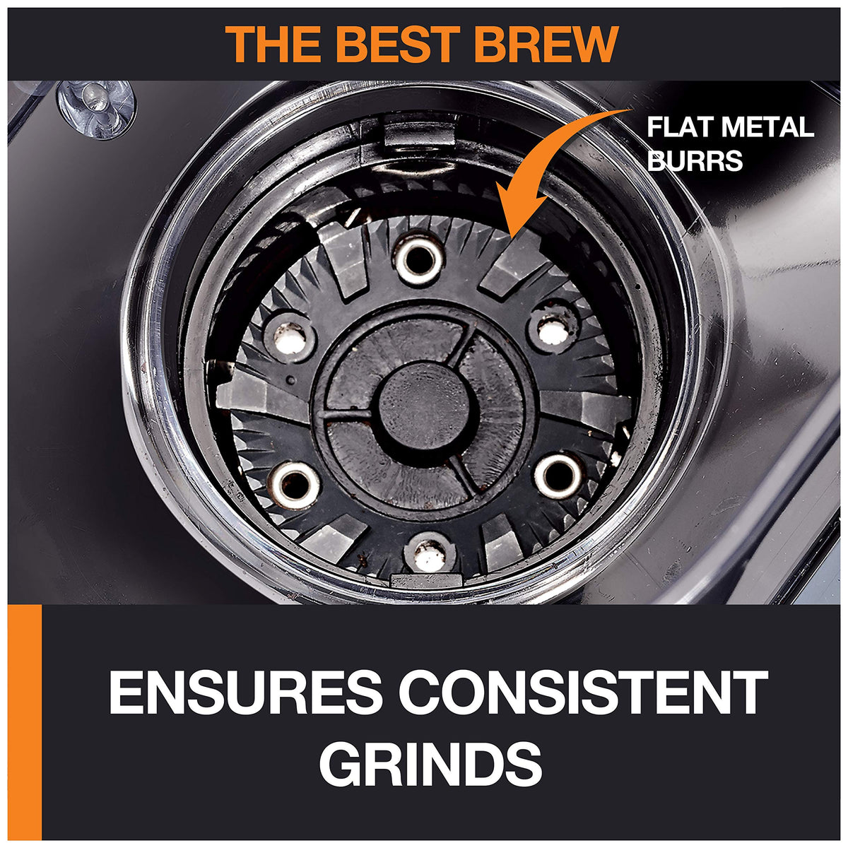 Burr Coffee Grinder 12 Settings 8 oz Stainless Steel Y211