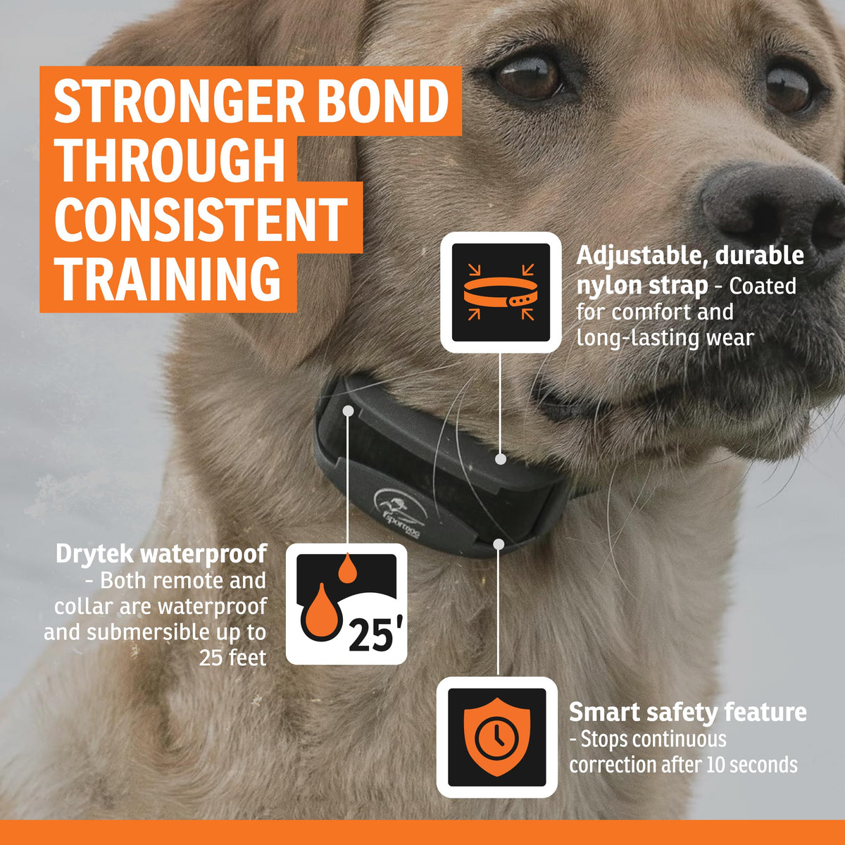 Remote Dog Trainer 1-Mile Range N80124